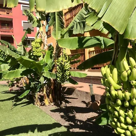 Mar Exclusive - Tenerife Sur Lägenhet *